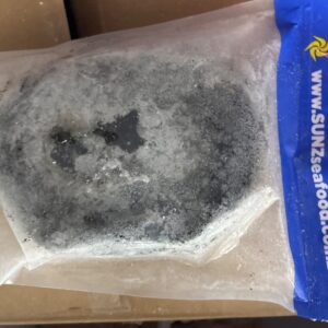 Pāua whole in shell per Kg