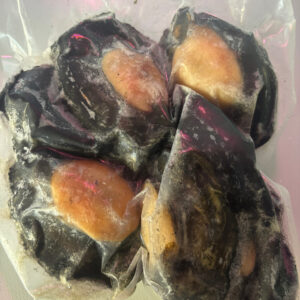Shucked Whole Pāua 1kg